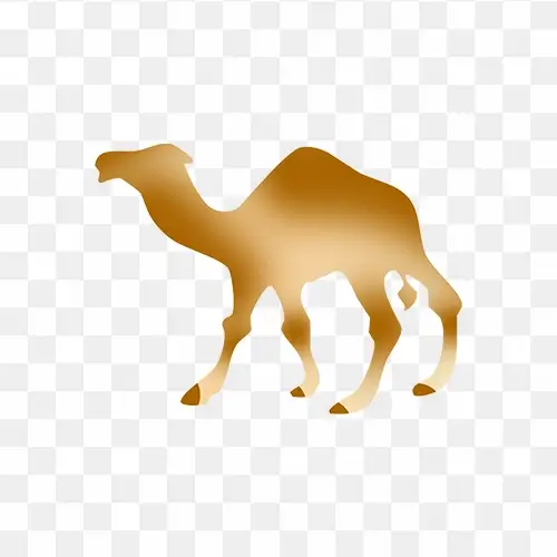 Camel cattle free transparent png